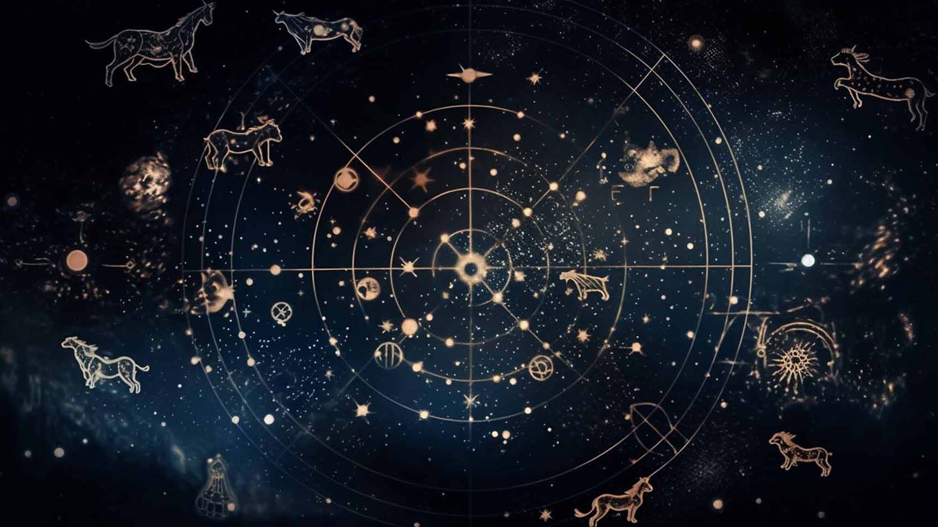 Zodiac signs in the sky on a starry night