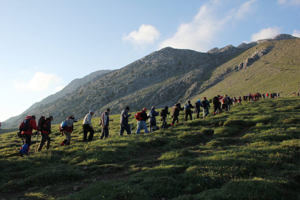 Everyone on the same hill A long line of hikers climbing the same grassy hillside in single file