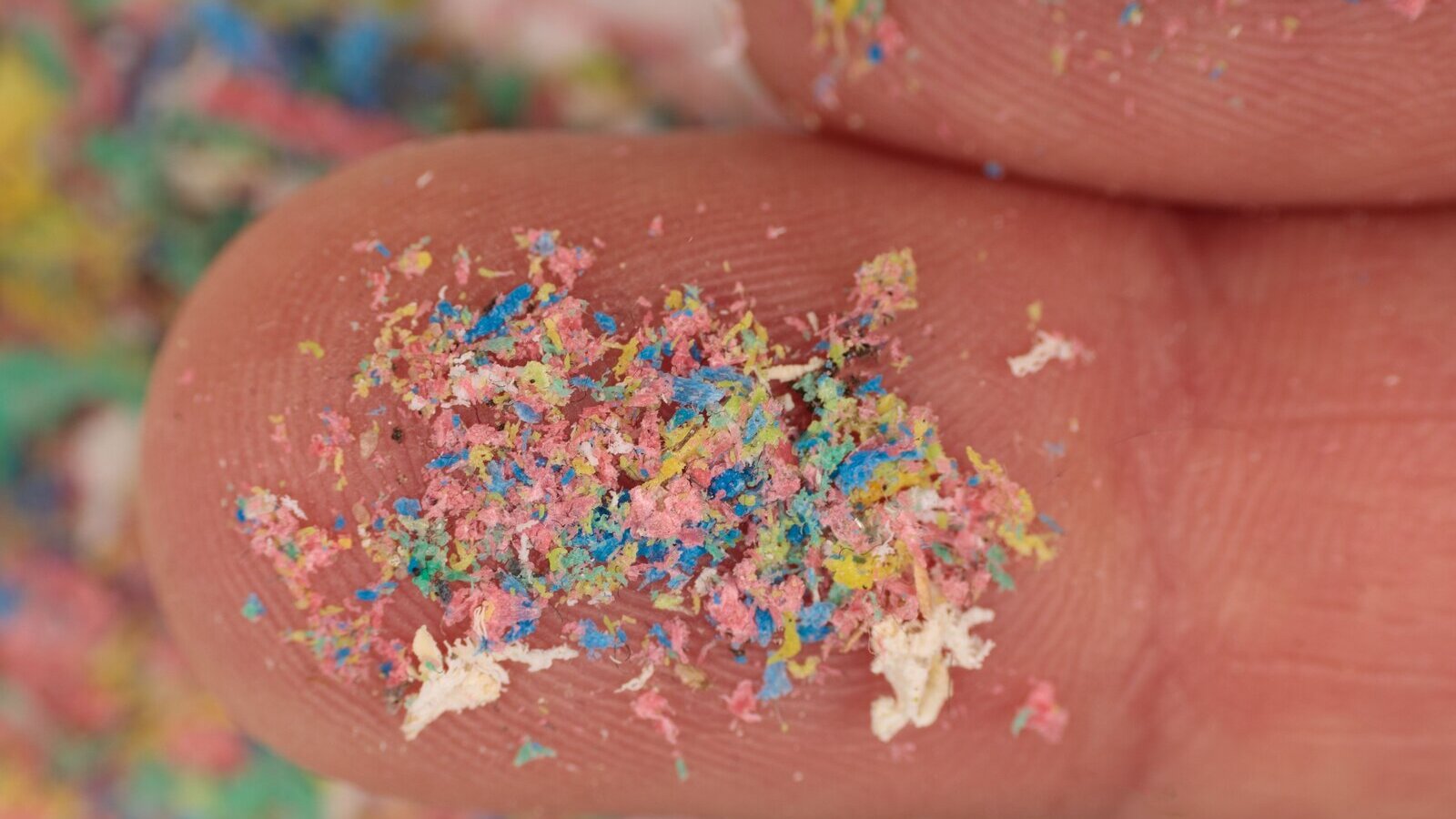Tiny colorful plastic fragments on a fingertip