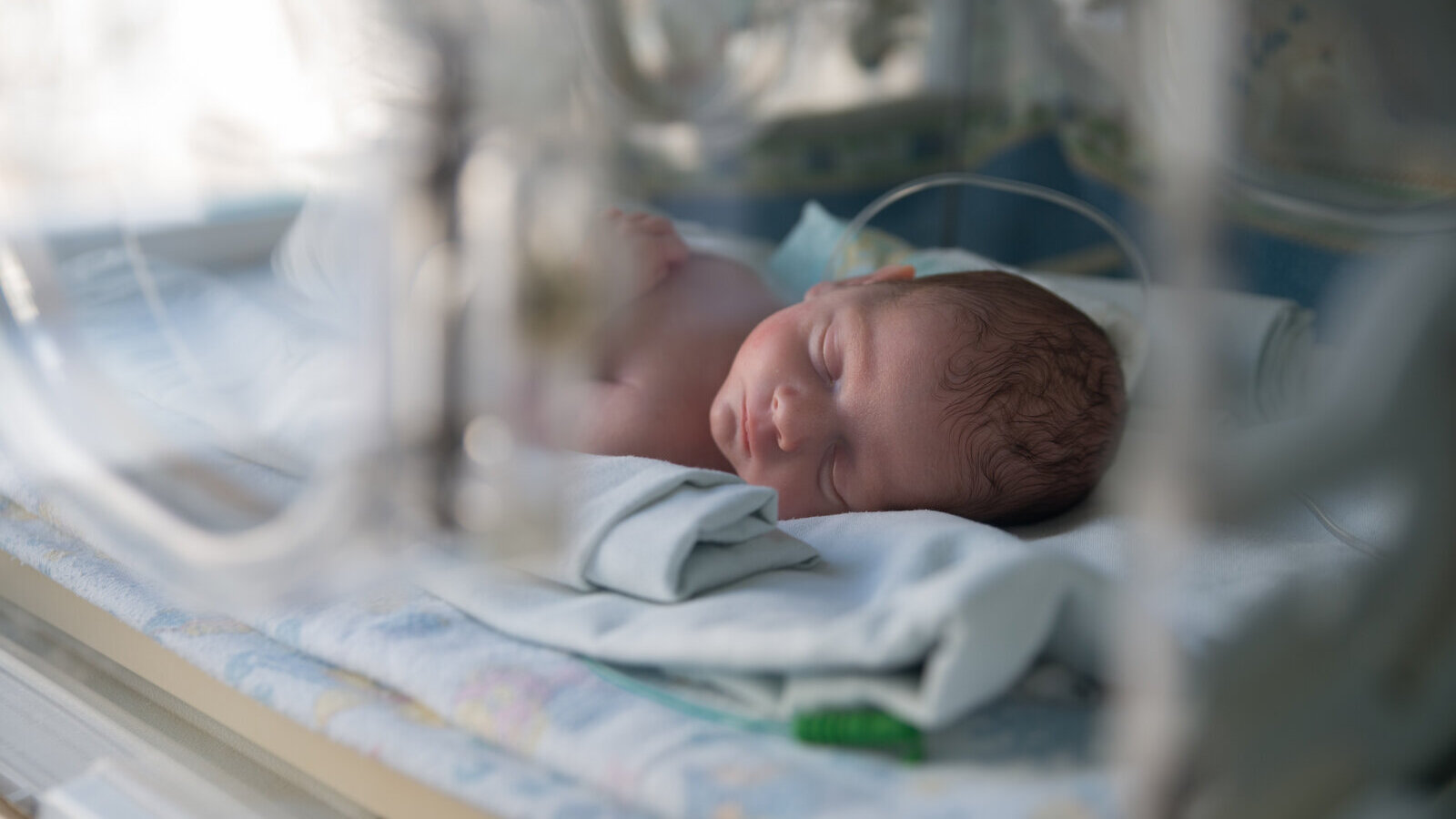 Newborn baby sleeping inside a clear hospital incubator