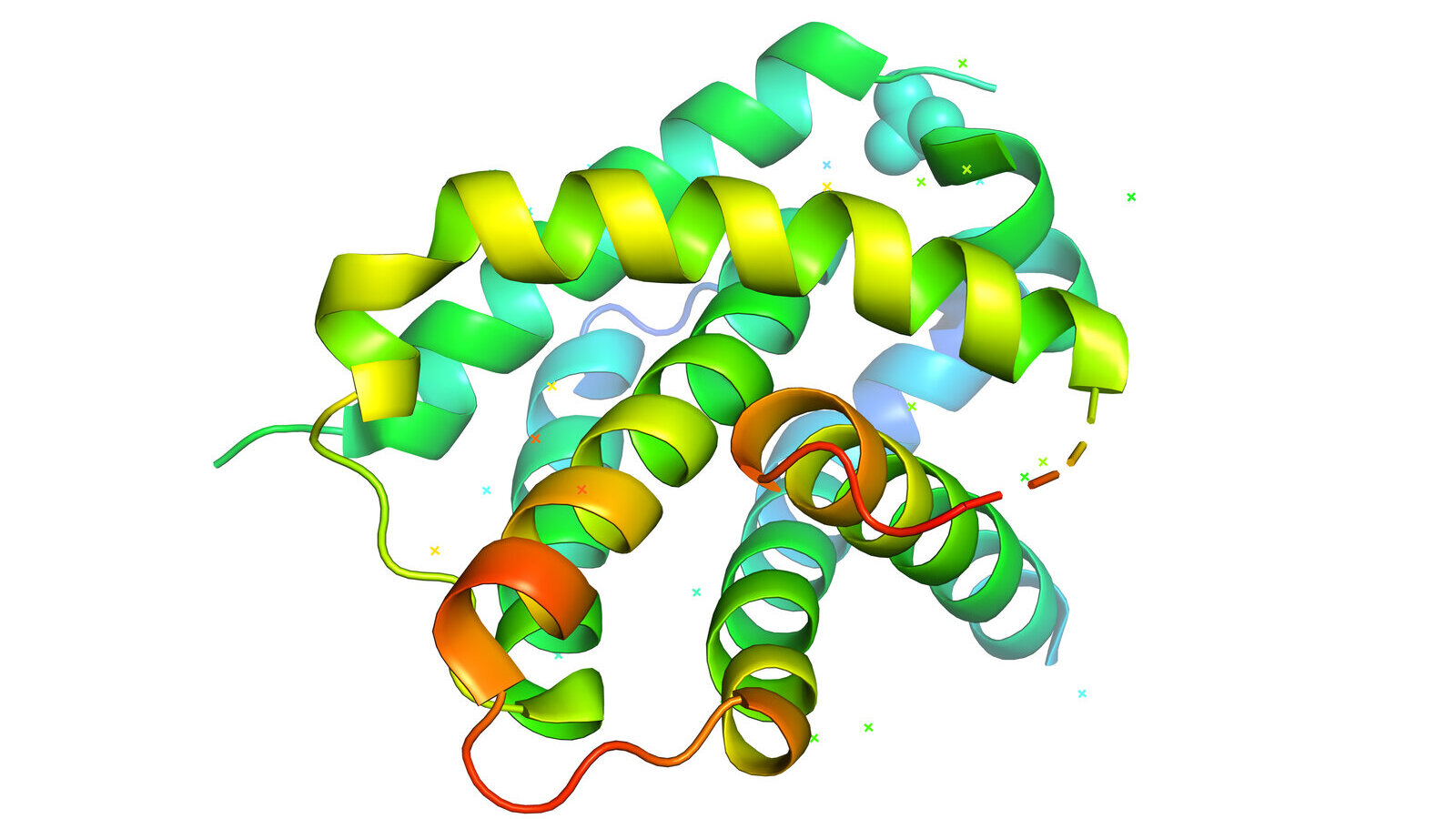 Ribbon model of a folded protein structure in bright colors